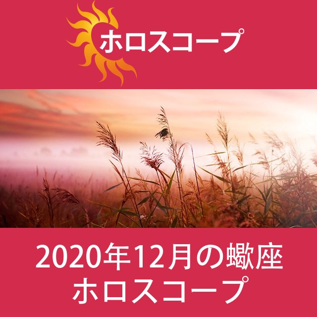 蠍座 2020年12月 星座月運