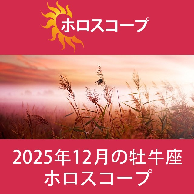 牡牛座 2025年12月 星座月運