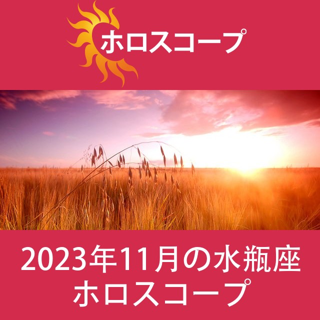 水瓶座 2023年11月 星座月運