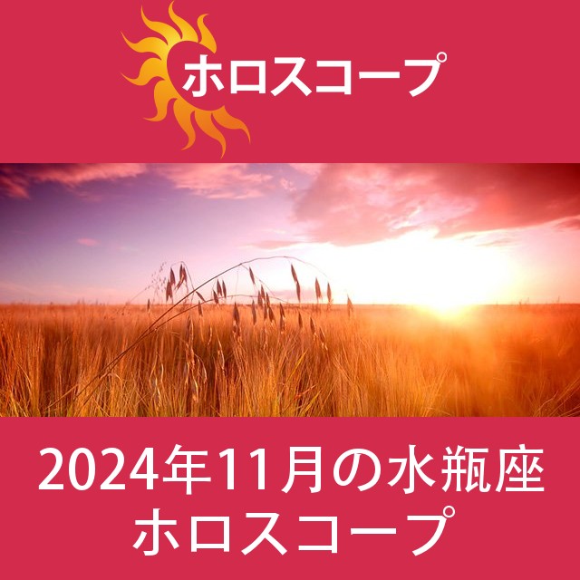 水瓶座 2024年11月 星座月運
