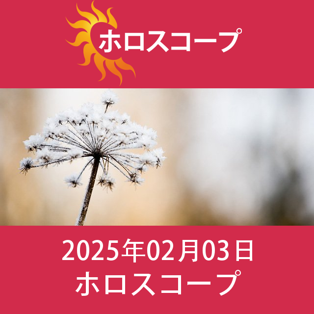 2025年2月3日 の日々の星座運勢の予測