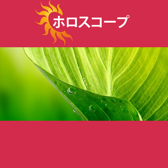 2026年8月9日 の日々の星座運勢の予測