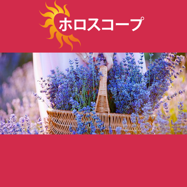 2026年6月11日 の日々の星座運勢の予測