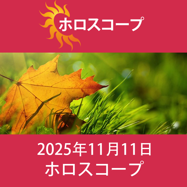 2025年11月11日 の日々の星座運勢の予測