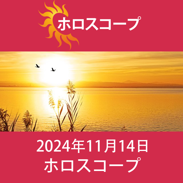 2024年11月14日 の日々の星座運勢の予測