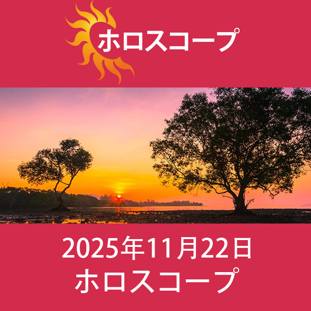 2025年11月22日 の日々の星座運勢の予測