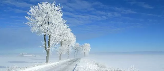 2026年1月3日土曜日のホロスコープ 