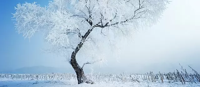 2026年1月9日金曜日のホロスコープ 