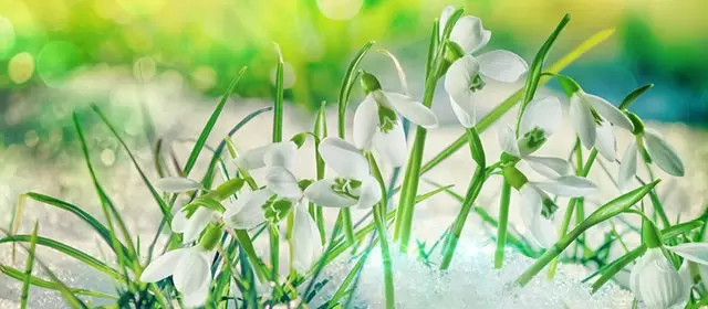 2026年1月12日月曜のホロスコープ 