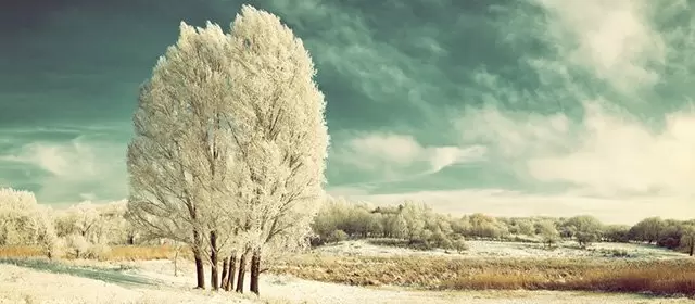 2026年1月14日水曜日のホロスコープ 