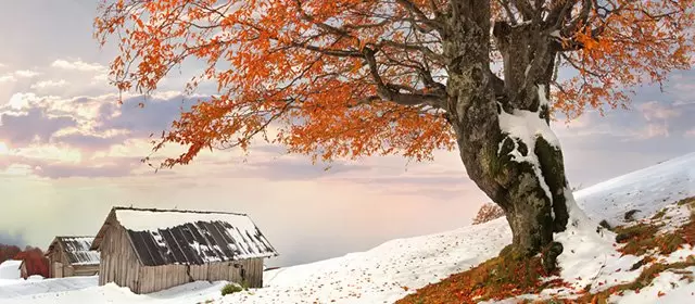 2026年1月31日土曜日のホロスコープ 