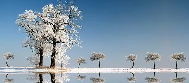 2026年2月1日日曜日のホロスコープ 