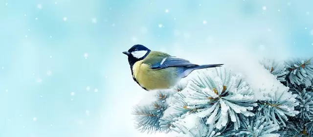 2026年2月2日月曜のホロスコープ 