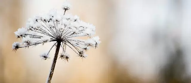 2026年2月3日火曜日のホロスコープ 