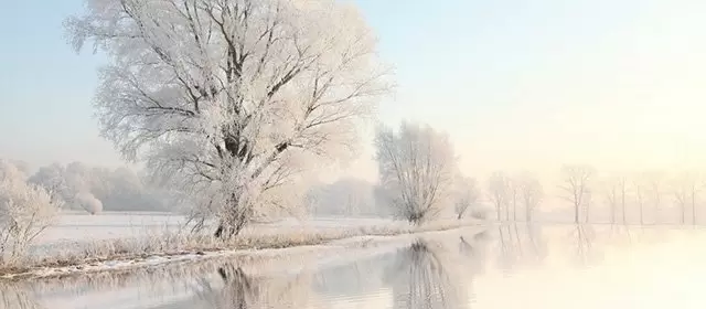 2026年2月4日水曜日のホロスコープ 
