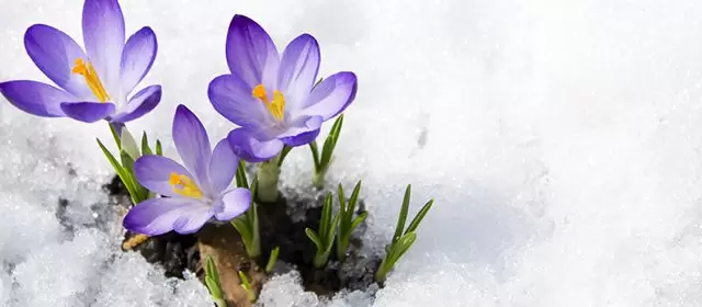 2026年2月5日木曜日のホロスコープ 