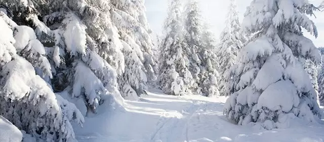 2026年2月11日水曜日のホロスコープ 