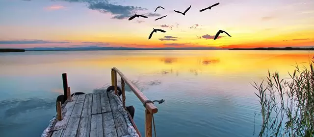 2026年3月1日日曜日のホロスコープ 