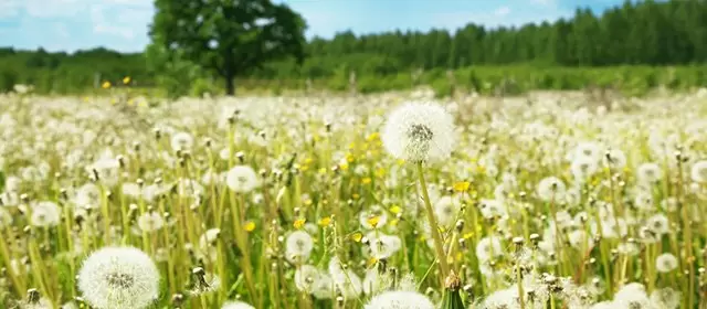 2026年3月3日火曜日のホロスコープ 