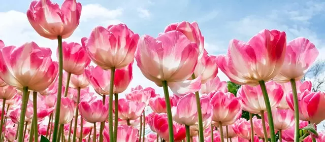 2026年3月7日土曜日のホロスコープ 