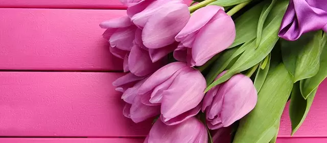 2026年3月8日日曜日のホロスコープ 