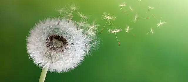 2026年3月11日水曜日のホロスコープ 