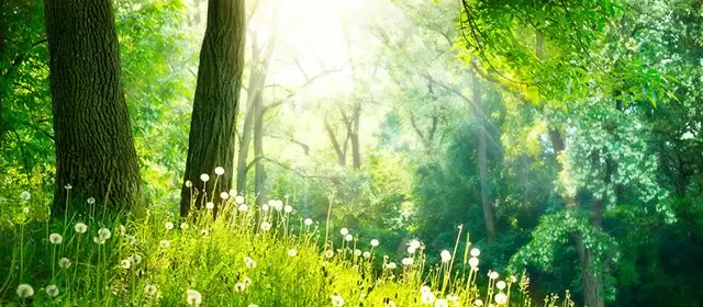 2026年3月13日金曜日のホロスコープ 