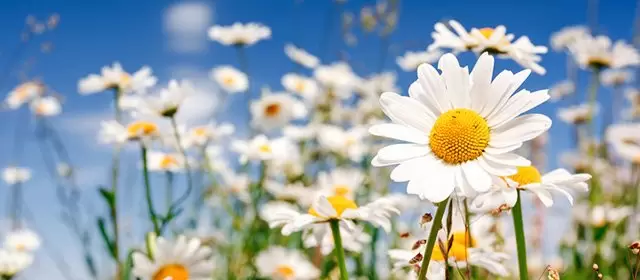 2026年3月15日日曜日のホロスコープ 