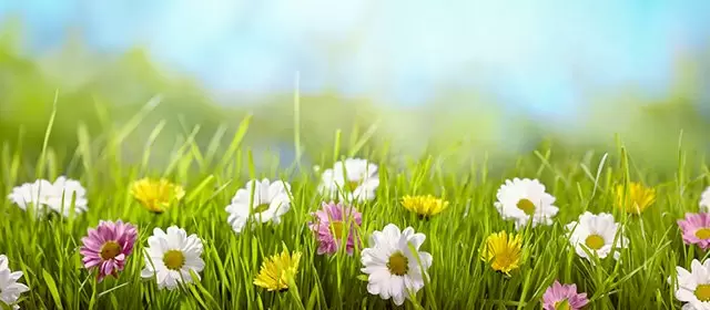 2026年3月28日土曜日のホロスコープ 