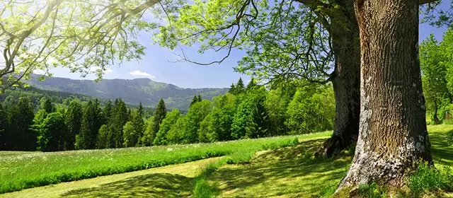 2026年4月1日水曜日のホロスコープ 
