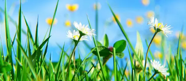 2026年4月3日金曜日のホロスコープ 