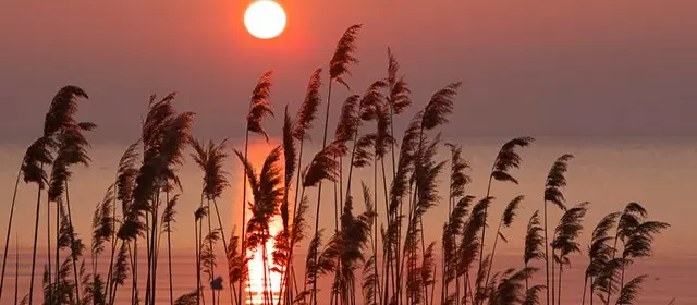 2026年4月5日日曜日のホロスコープ 