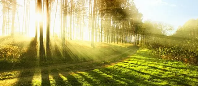 2026年4月7日火曜日のホロスコープ 