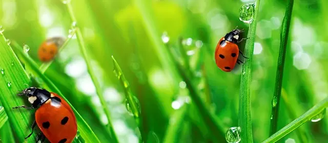 2026年4月12日日曜日のホロスコープ 