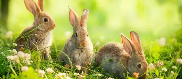 2026年4月15日水曜日のホロスコープ 