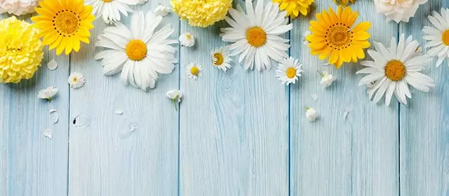 2026年4月19日日曜日のホロスコープ 