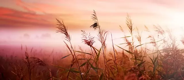 2025年11月4日火曜日のホロスコープ 