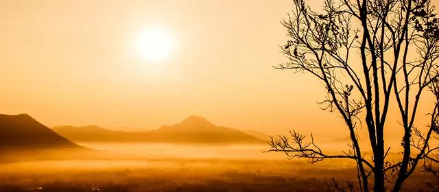 2025年11月9日日曜日のホロスコープ 