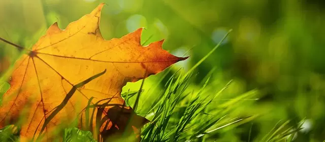 2025年11月11日火曜日のホロスコープ 