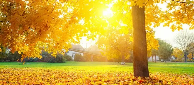 2025年11月12日水曜日のホロスコープ 