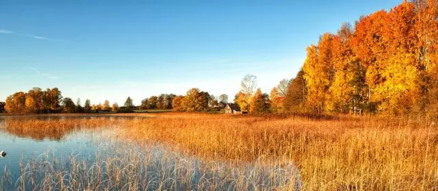 2025年11月13日木曜日のホロスコープ 