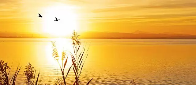 2025年11月14日金曜日のホロスコープ 