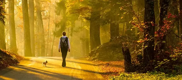 2025年11月17日月曜のホロスコープ 