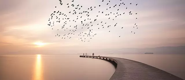 2025年11月20日木曜日のホロスコープ 