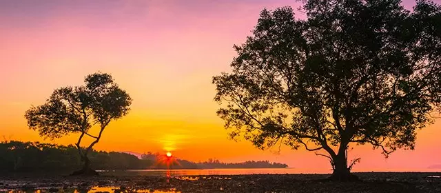 2025年11月22日土曜日のホロスコープ 