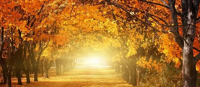 2025年11月24日月曜のホロスコープ 