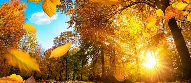 2025年11月26日水曜日のホロスコープ 