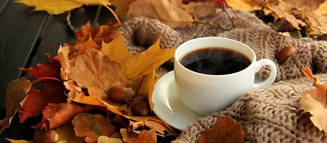 2025年11月27日木曜日のホロスコープ 