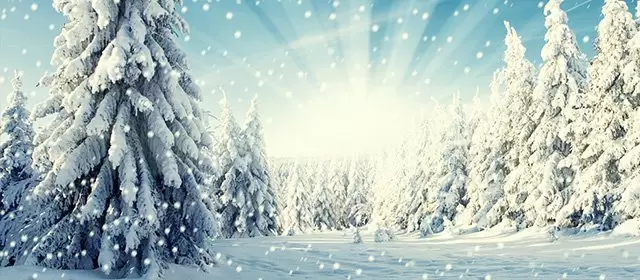 2025年12月6日土曜日のホロスコープ 