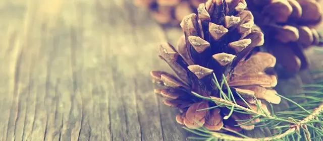 2025年12月7日日曜日のホロスコープ 